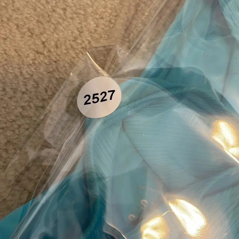 NWOT Frankie’s bikinis Enzo plisse cheeky bottoms aquamarine 12527